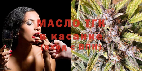дмт Гатчина