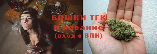 индика Осинники