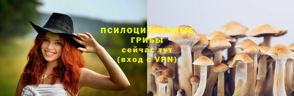 гидропоника Галич