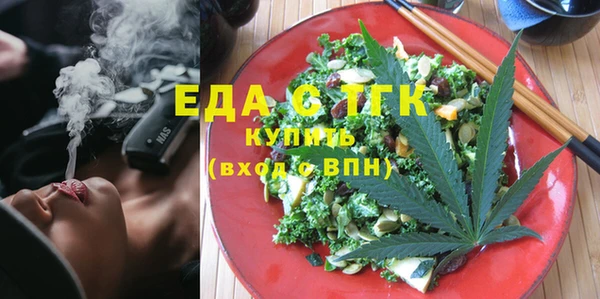 индика Осинники
