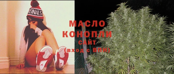 индика Осинники