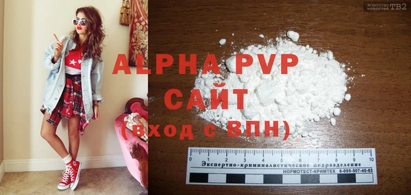 индика Осинники