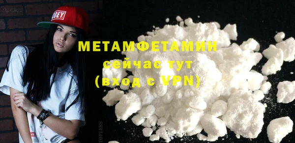 индика Осинники