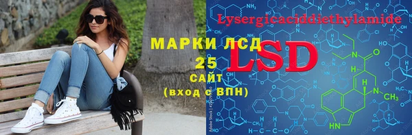 индика Осинники