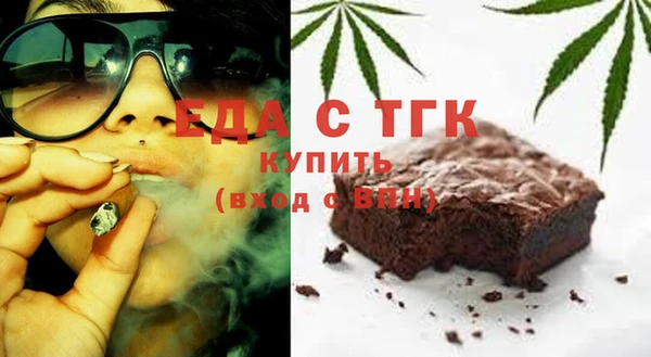 индика Осинники