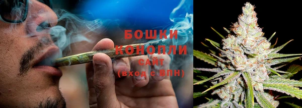 индика Осинники