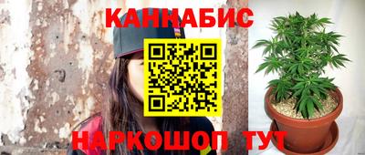 сатива Берёзовский