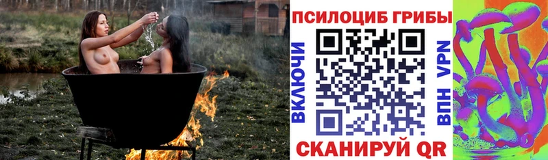 где можно купить Богданович Галлюциногенные грибы мицелий