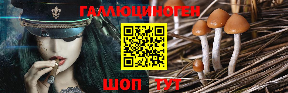 Псилоцибиновые грибы прущие грибы Богданович