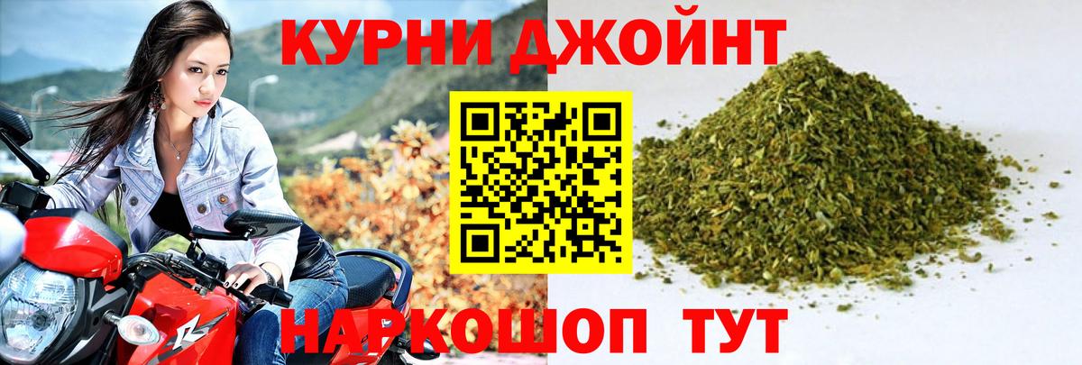 Конопля SATIVA & INDICA  Конопля план  Вход с VPN  Богданович 